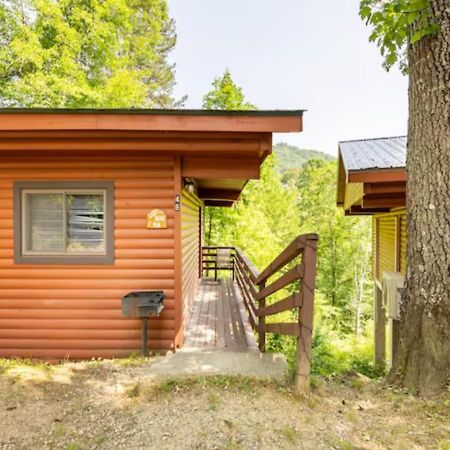 Lazy Bear Cabin Near Nantahala Outdoor Center And Bryson City Exterior foto