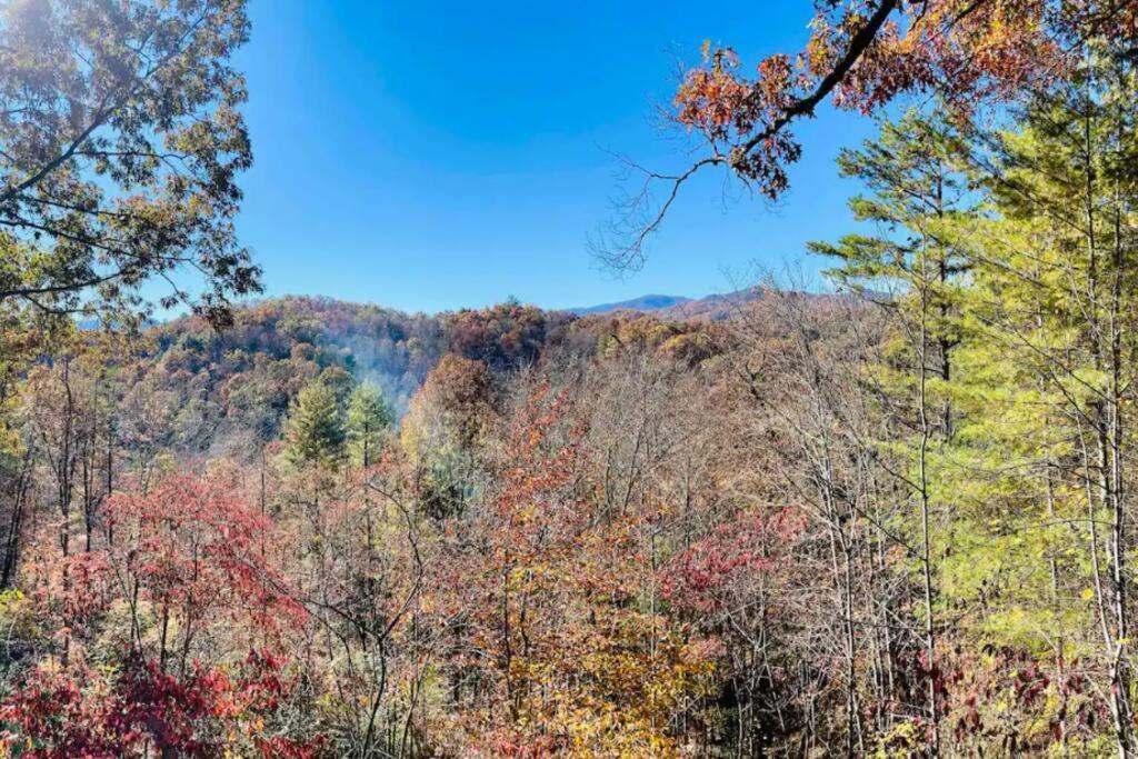 Lazy Bear Cabin Near Nantahala Outdoor Center And Bryson City Exterior foto