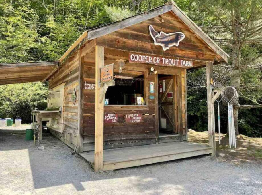 Lazy Bear Cabin Near Nantahala Outdoor Center And Bryson City Exterior foto